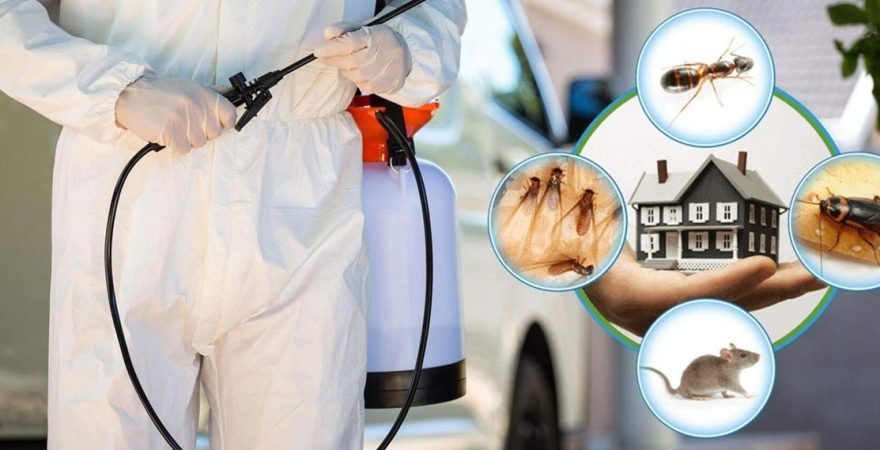 Gölmarmara Böcek İlaçlama