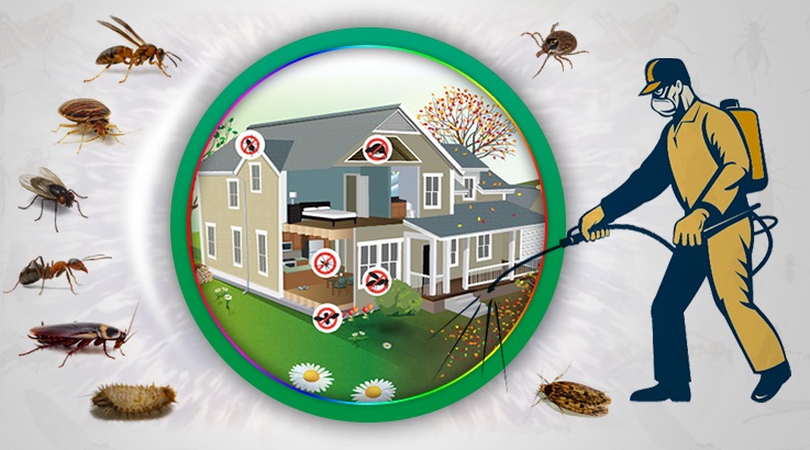 Gölmarmara Böcek İlaçlama