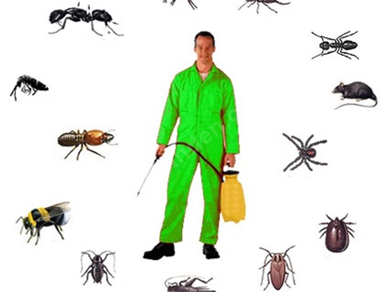 Gölmarmara Böcek İlaçlama